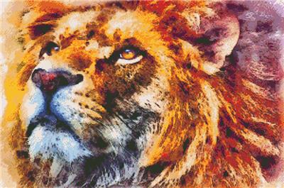(image for) Lion Wild Portrait